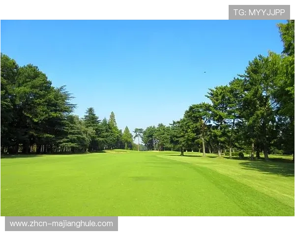 数字高尔夫催生球场设计师、数据分析师等新职业岗位