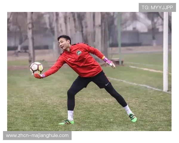 河南队锋线重组，古斯塔沃火速加入冬训并参与体能恢复计划